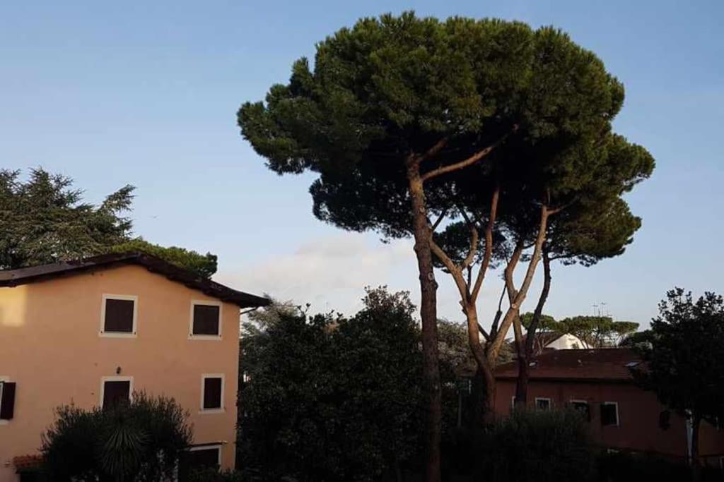 Aurelia - Apartment Begonia Rome Extérieur photo